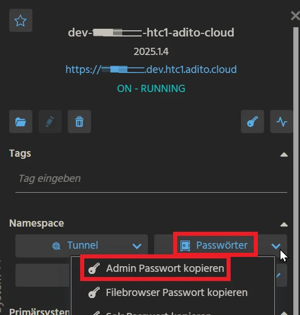 Copy admin password