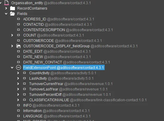 organisation_entity_extension_point.webp